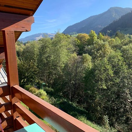 Appartement Vue Piste De Ski Praz-sur-Arly Ngoại thất bức ảnh