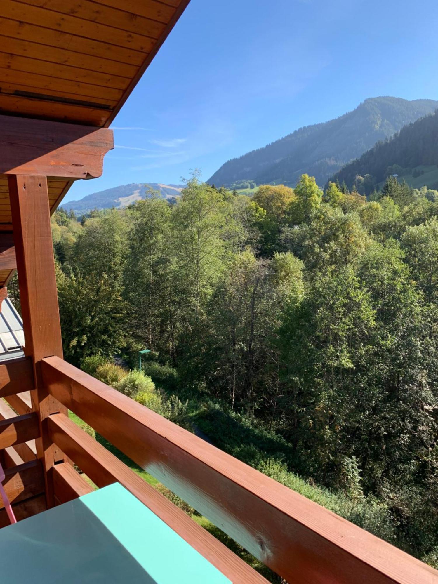Appartement Vue Piste De Ski Praz-sur-Arly Ngoại thất bức ảnh