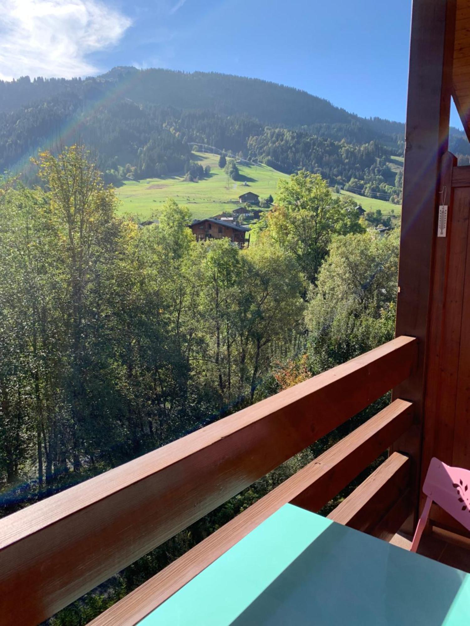 Appartement Vue Piste De Ski Praz-sur-Arly Ngoại thất bức ảnh